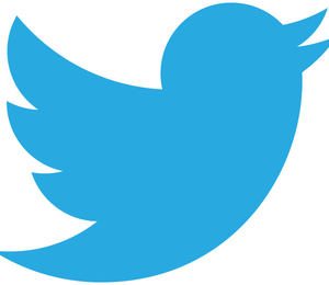Twitter affiche désormais les GIF animés, heureusement pas automatiquement